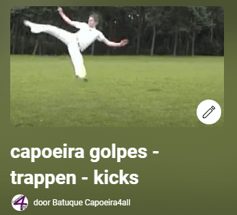 Schermafbeelding 2024-12-02 210253