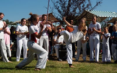 Capoeira optreden op Festival Di-Vers